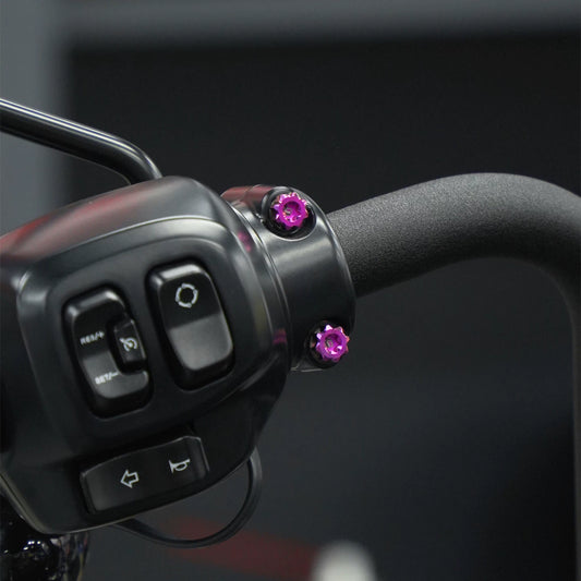 Purple titanium handlebar clamp bolts installed
