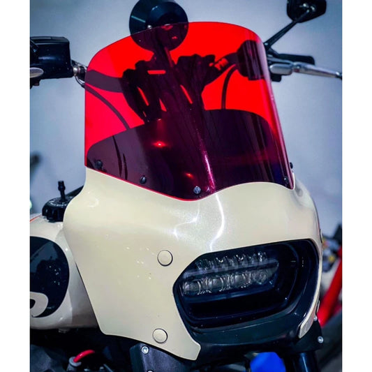 Memphis-style fairing installed on Harley-Davidson motorcycle