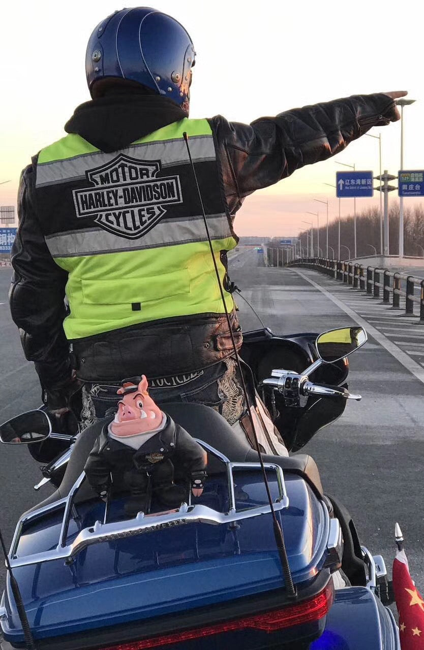 Riding Safe and Stylish: Embracing Motorcycle Safety and Gear