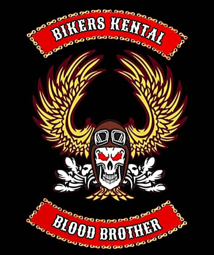 Flaming Winged Skull motorcycle club logo supplied as a display-only design reference