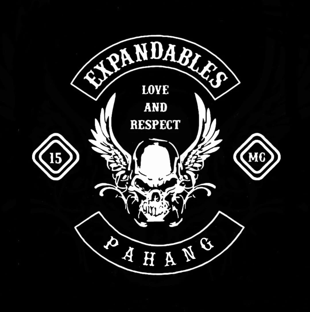 Winged Devil Skull motorcycle club logo supplied as a display-only design reference