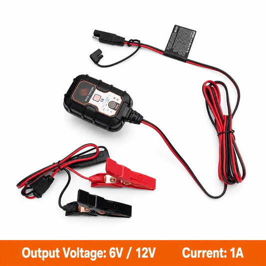 66000307 1A Standard Charger