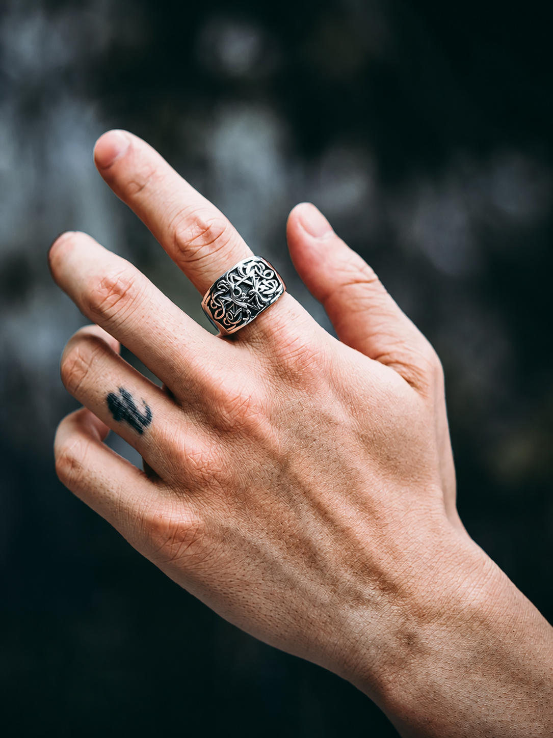 Hexagram Guardian Scrollwork Sterling Silver Ring - product view 4