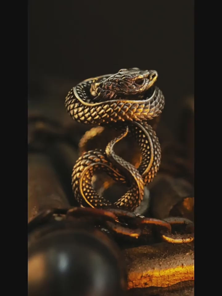 Coiled Snake Adjustable 925 Sterling Silver Biker Ring — product video
