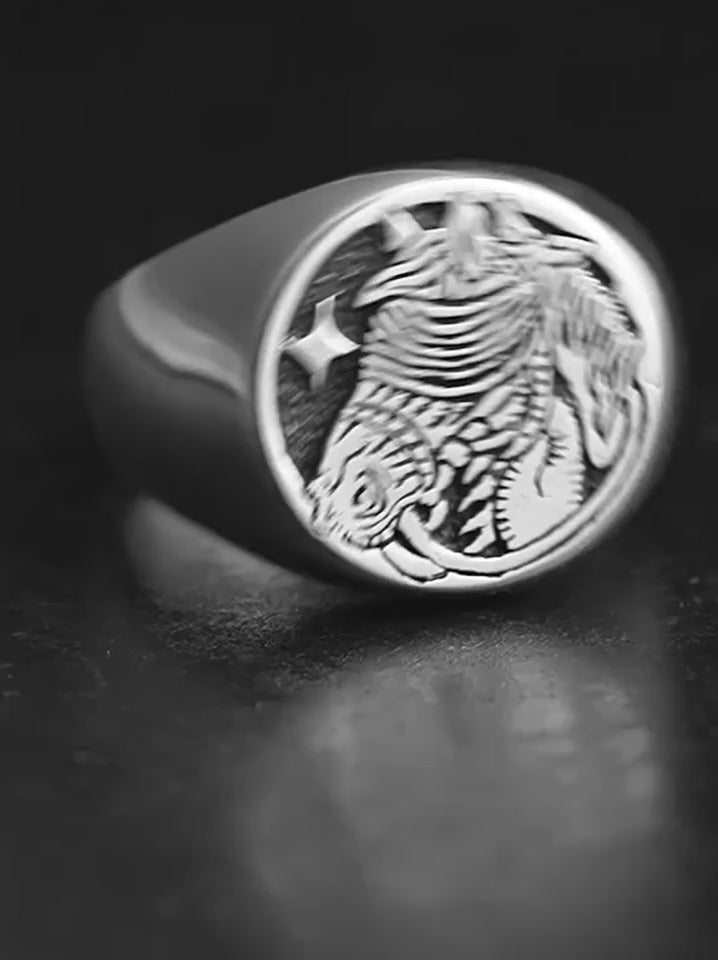 Horse Signet 925 Sterling Silver Biker Ring product video