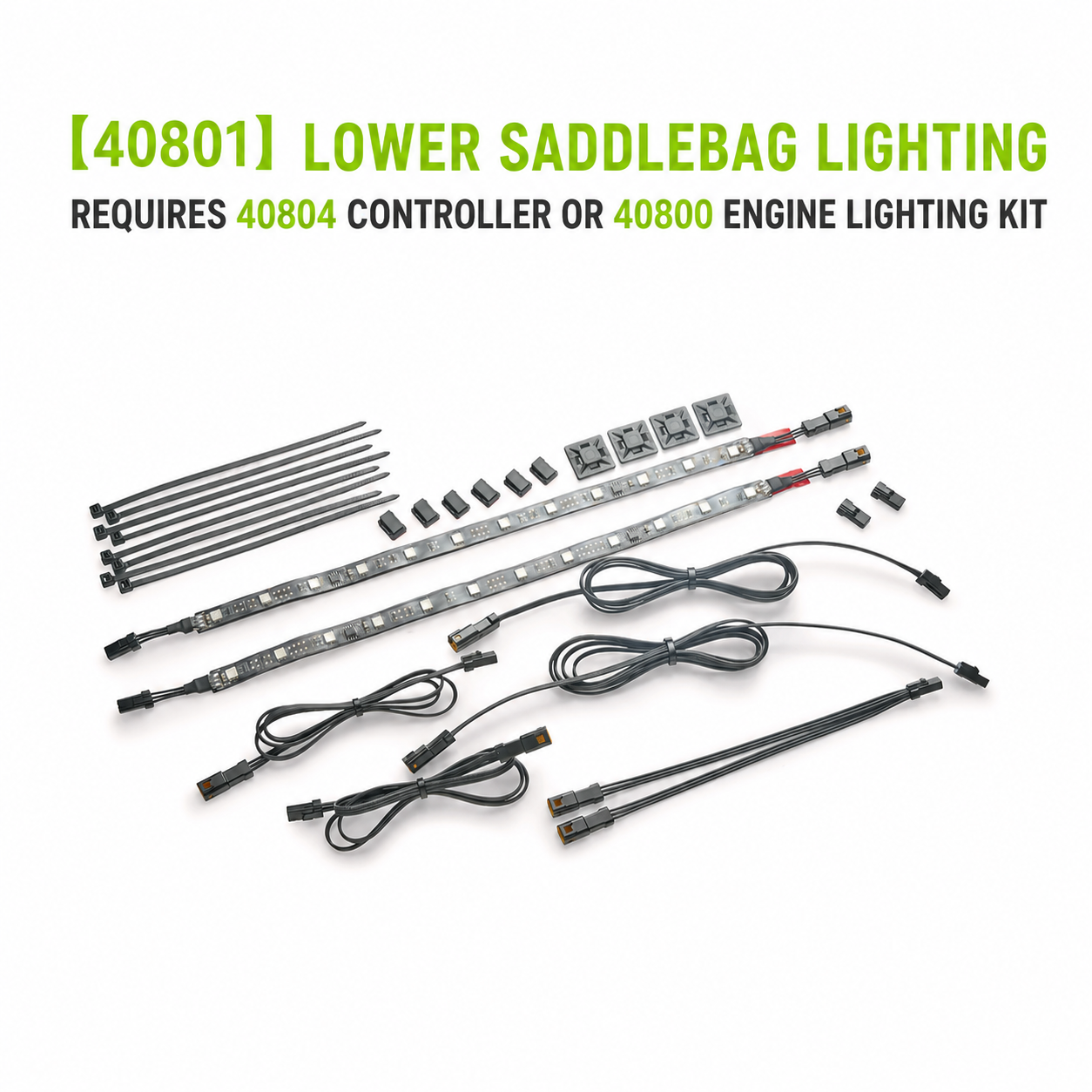 40801 Lower Saddlebag Lighting