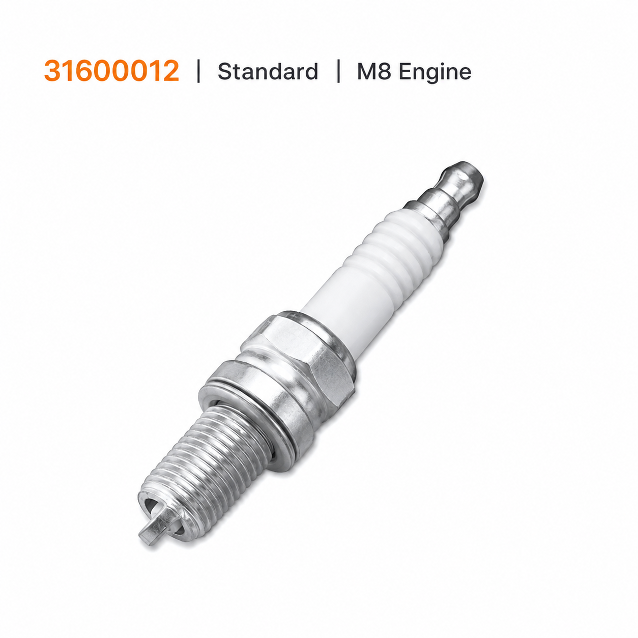 Standard / M8 Engine / 31600012