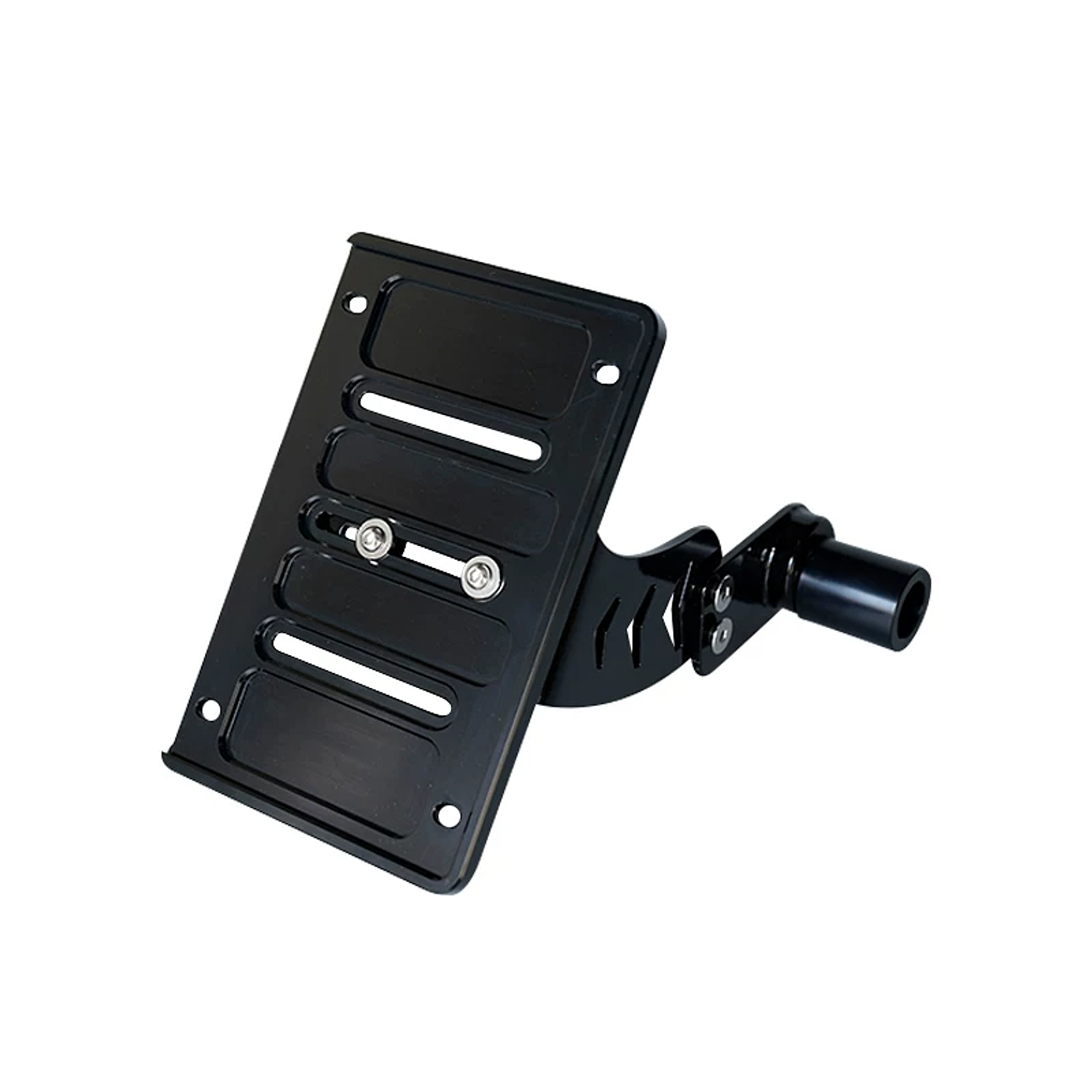 License Plate Mount