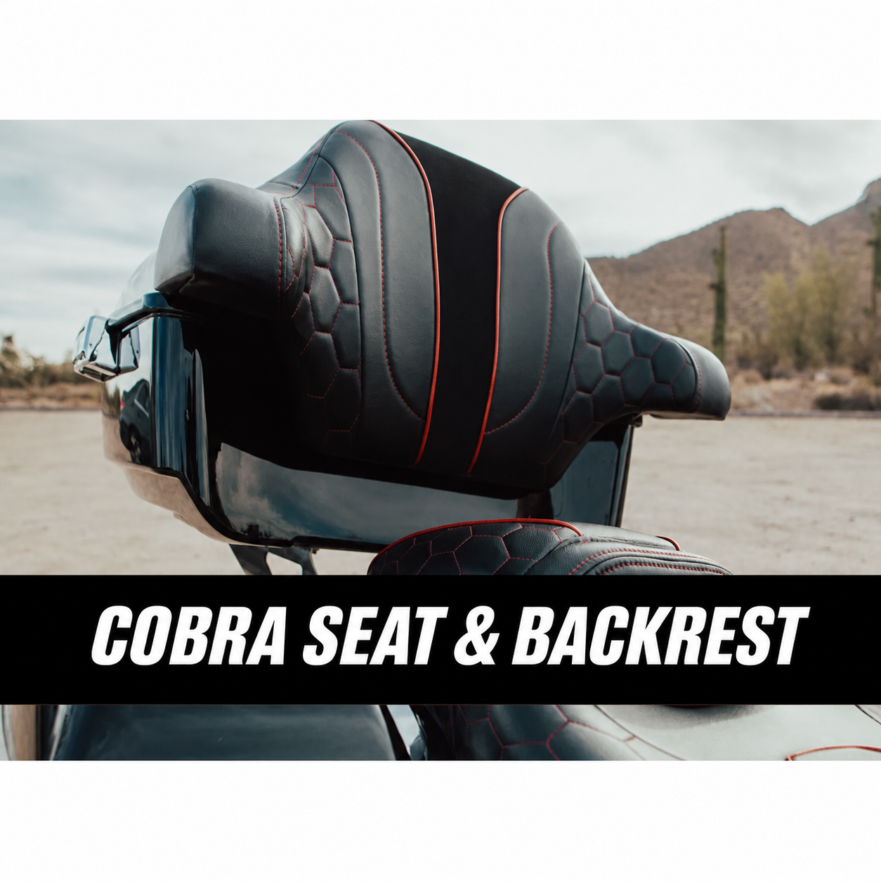 Cobra seat and backrest close-up