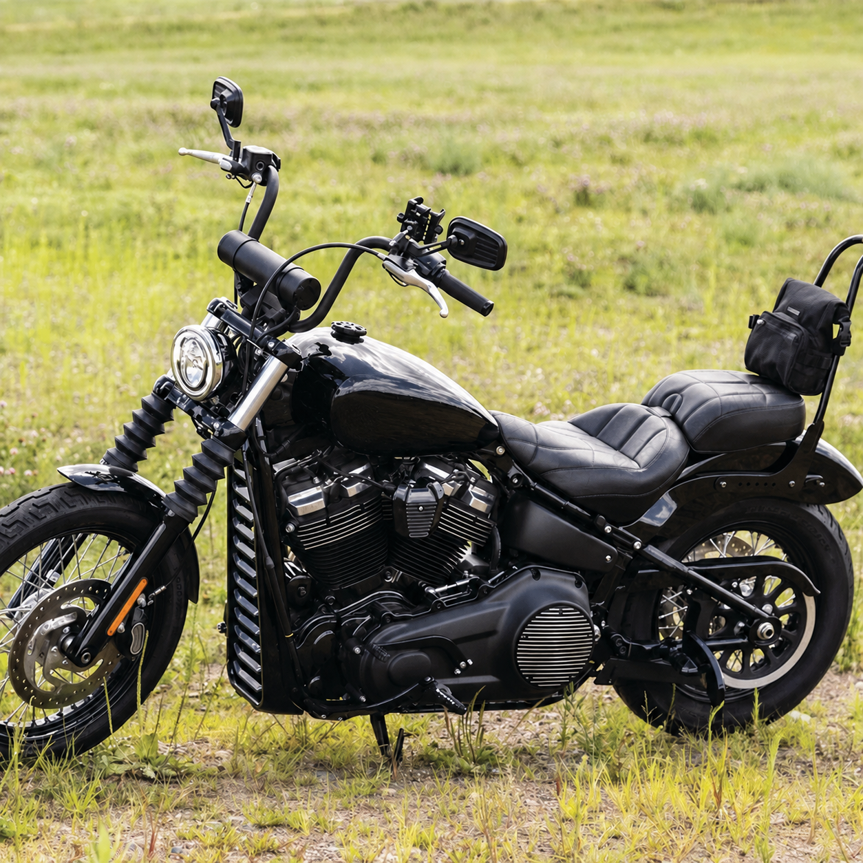 Split rider and passenger seats installed on a Street Bob