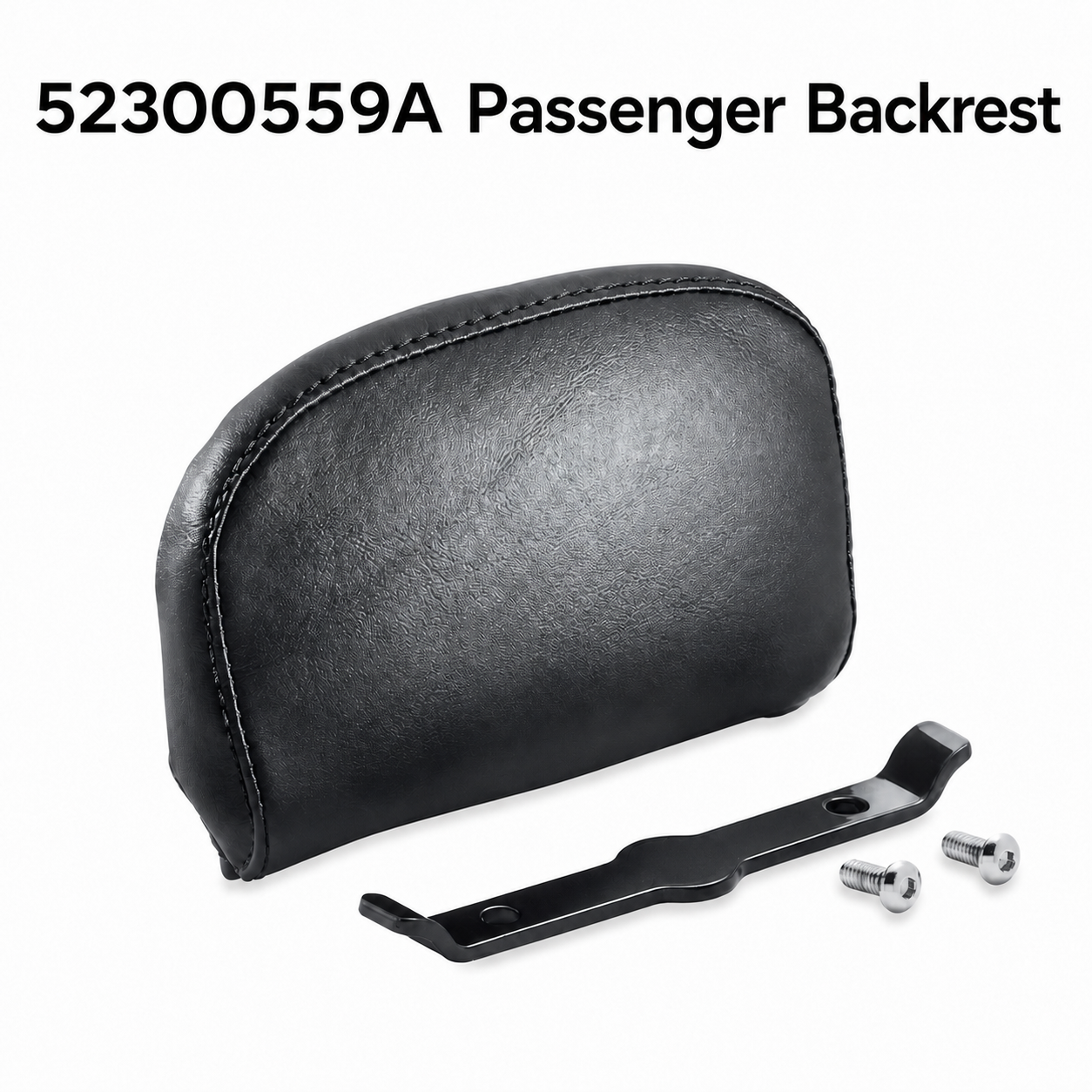 52300559A Passenger Backrest