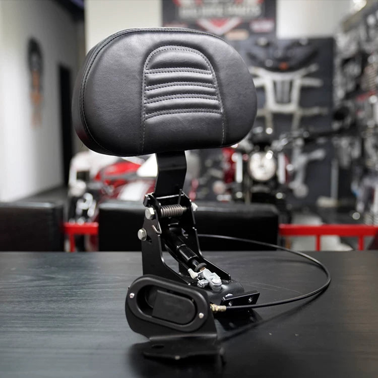 Ribbed black hydraulic touring backrest assembly