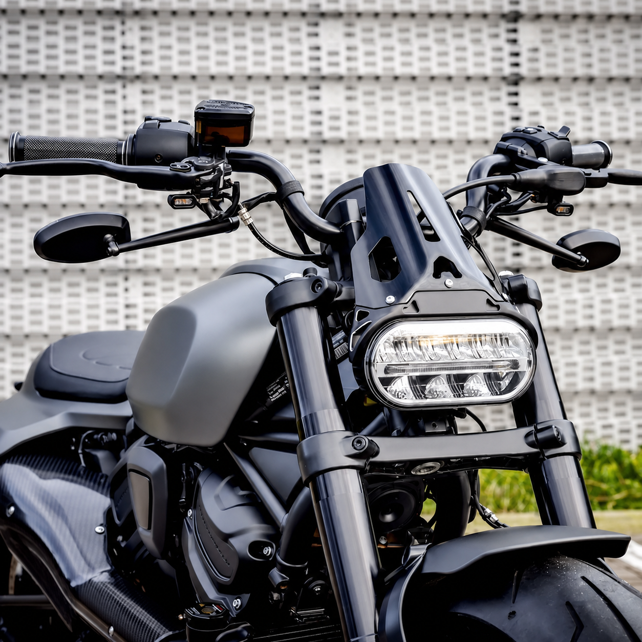 Sportster S custom parts gallery 3