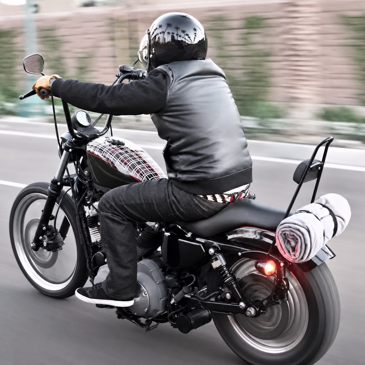 Black passenger sissy bar on Harley Sportster riding view